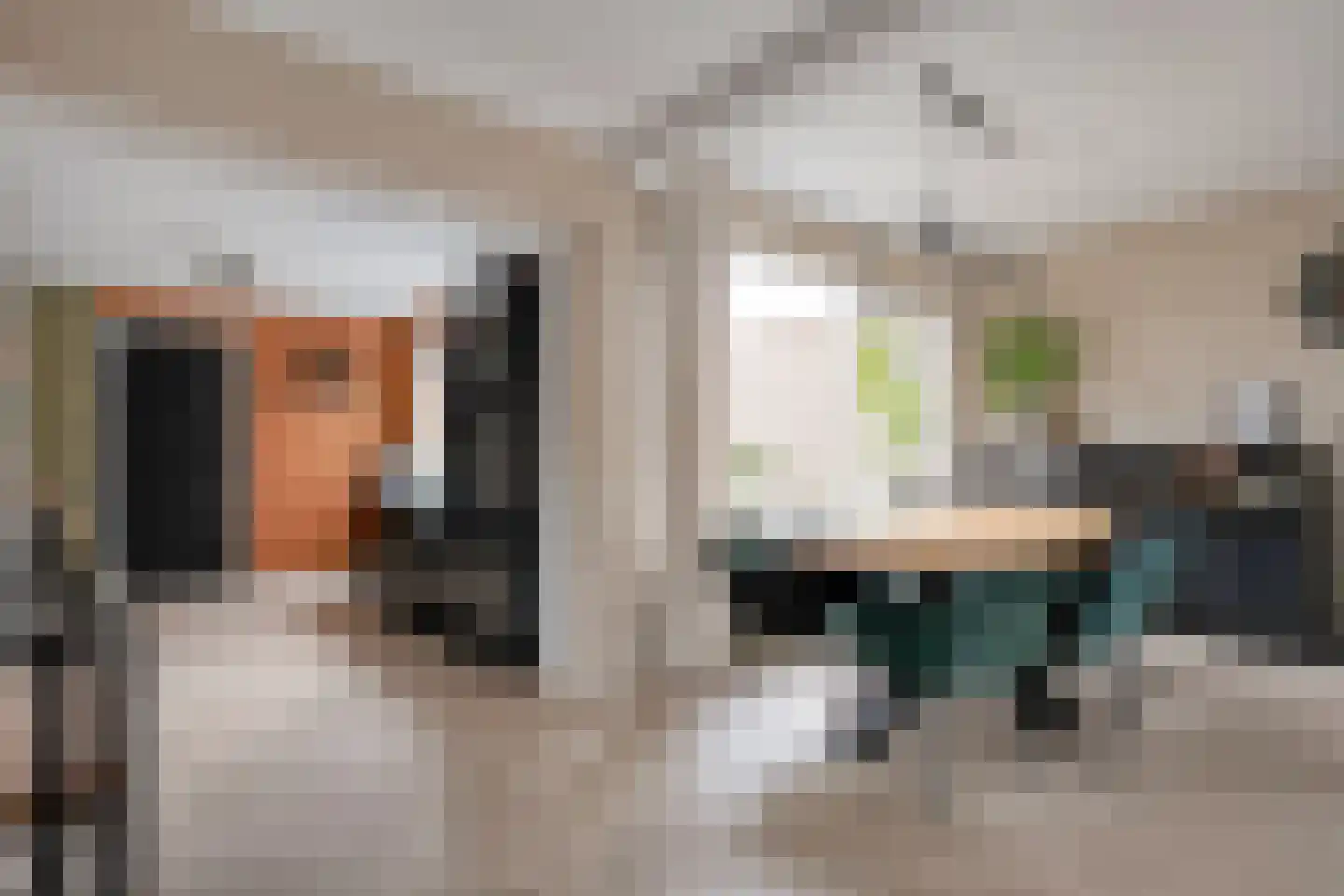 David Krammerstraat 49 Coevorden thumbnail 12