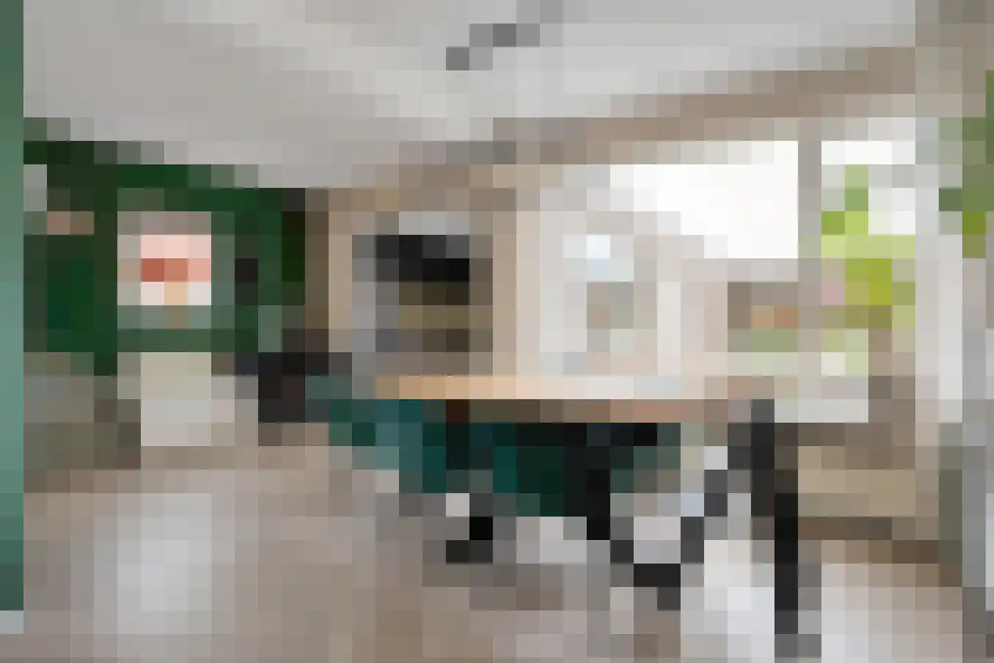 David Krammerstraat 49 Coevorden thumbnail 13