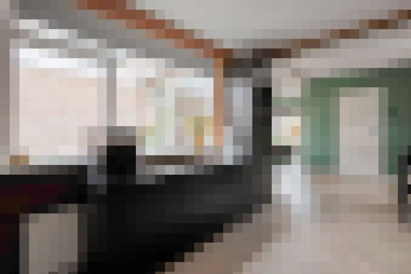 David Krammerstraat 49 Coevorden thumbnail 21
