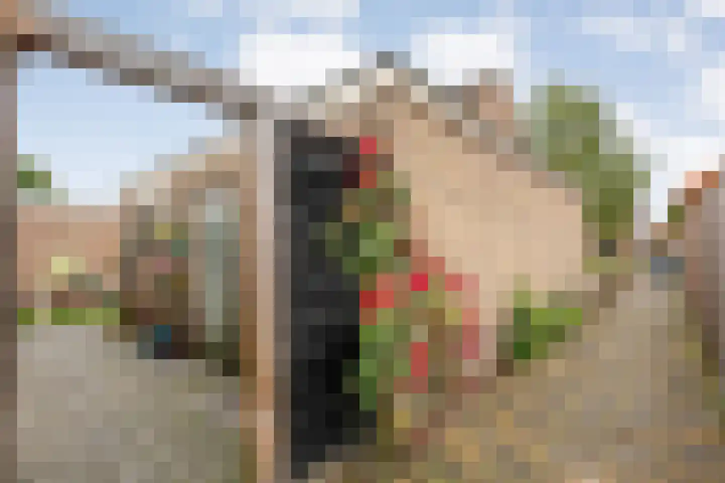 David Krammerstraat 49 Coevorden thumbnail 41