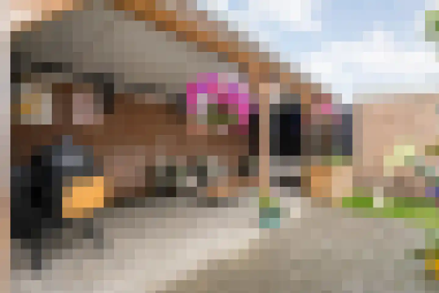 David Krammerstraat 49 Coevorden thumbnail 44