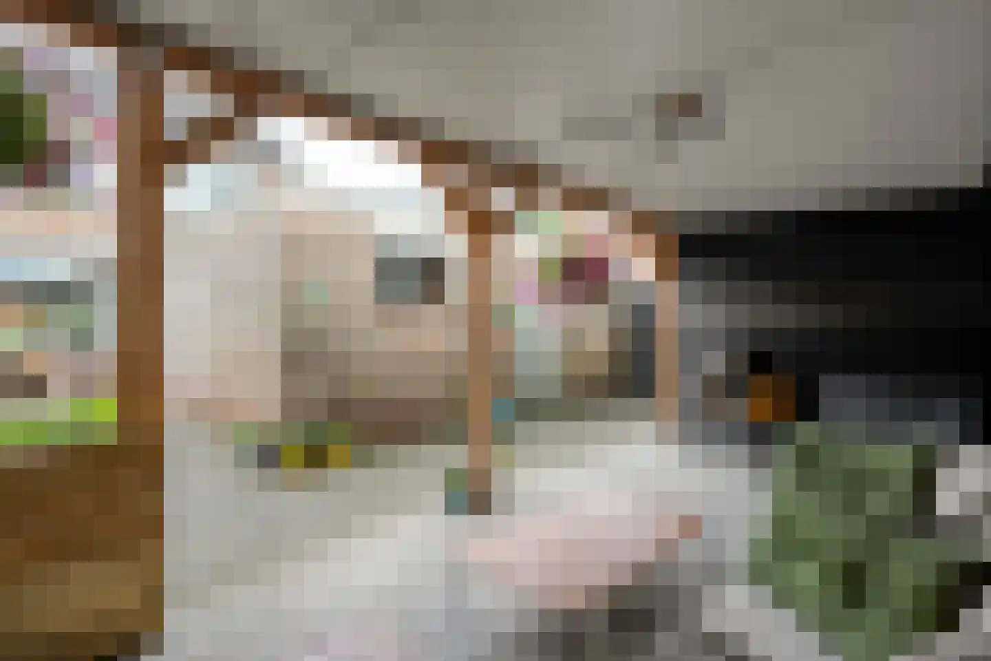 David Krammerstraat 49 Coevorden thumbnail 46