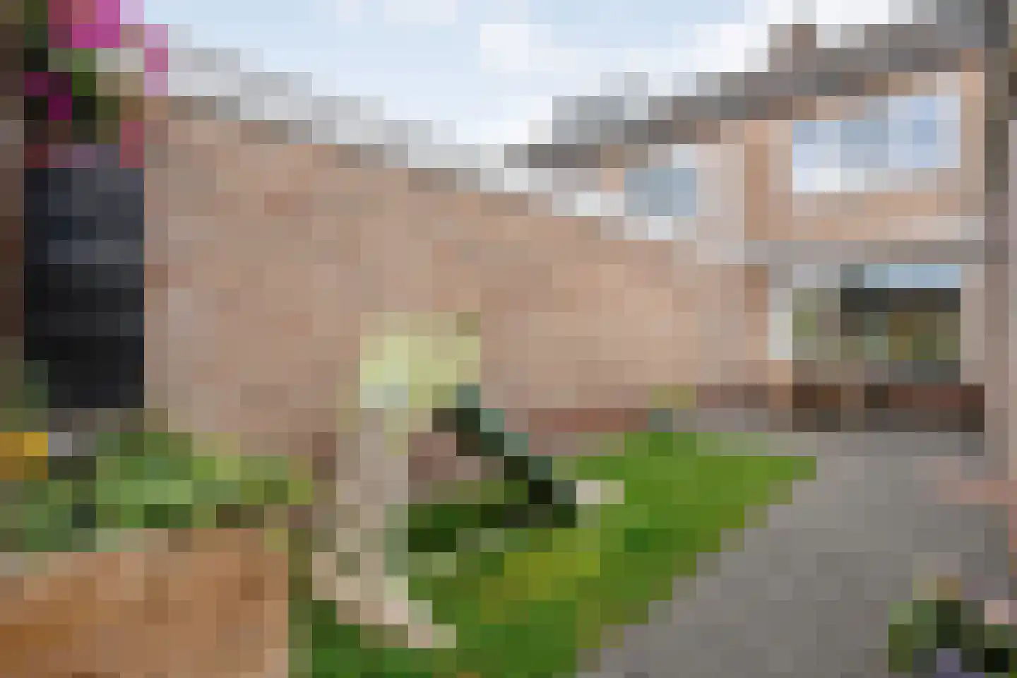 David Krammerstraat 49 Coevorden thumbnail 47