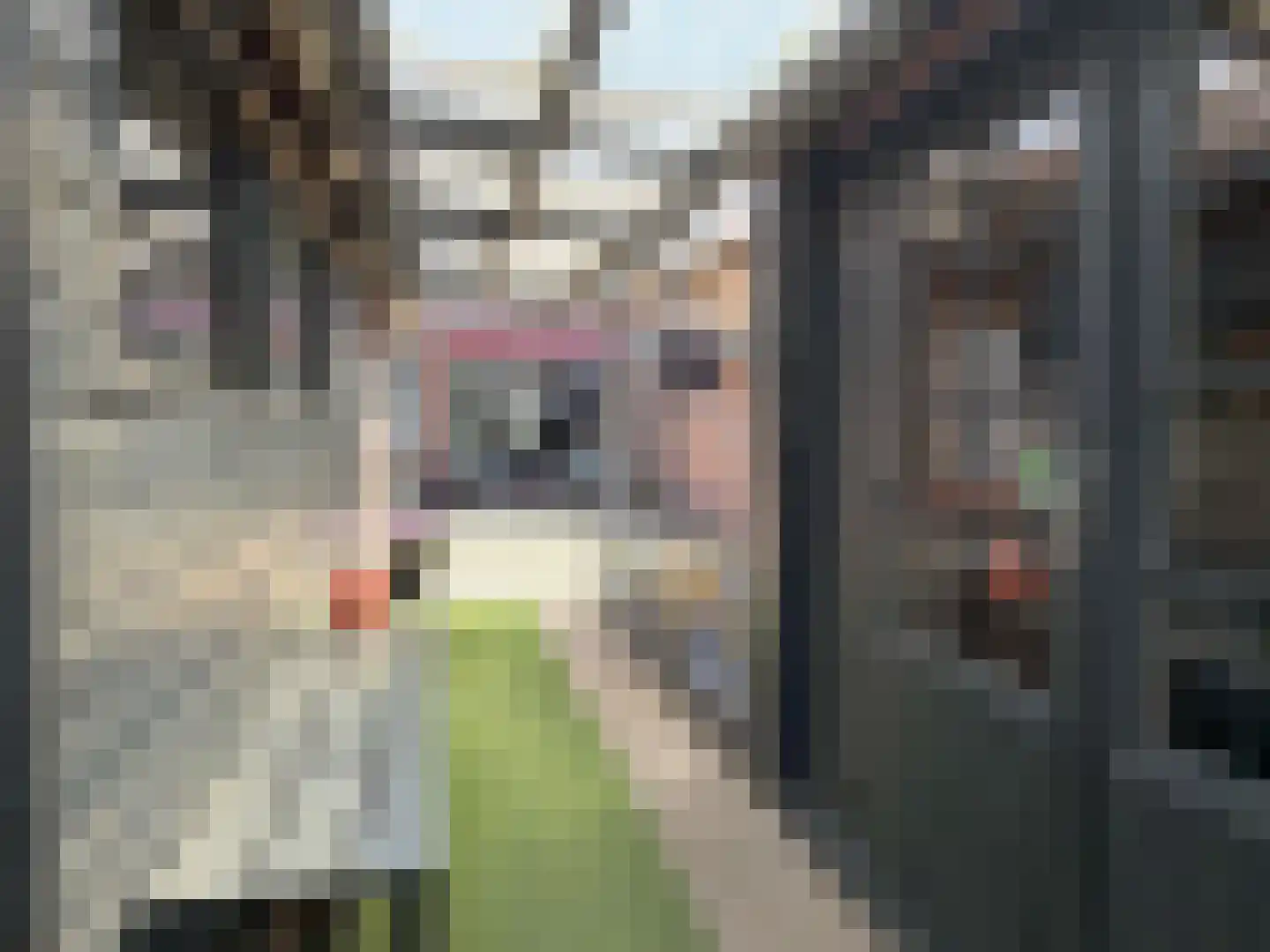 David Krammerstraat 65 Coevorden thumbnail 13