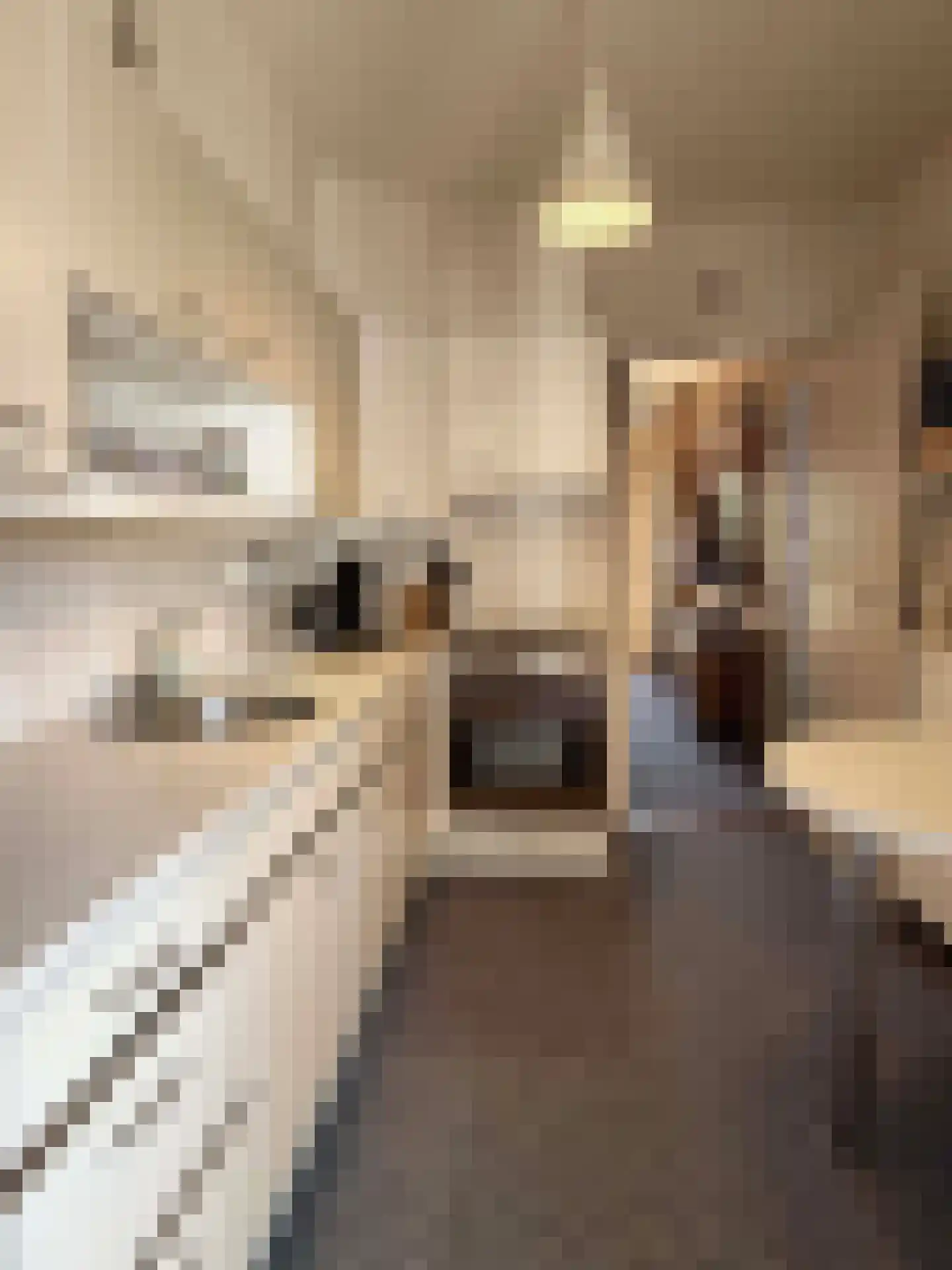 David Krammerstraat 65 Coevorden thumbnail 18