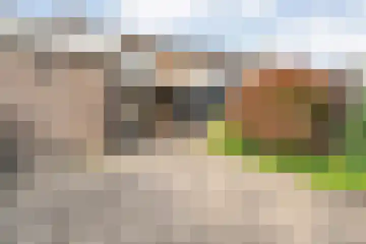 David Krammerstraat 73 Coevorden thumbnail 34