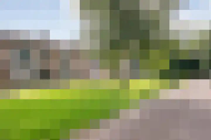 David Krammerstraat 73 Coevorden thumbnail 4