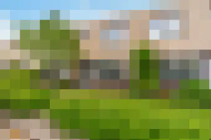 David Leanstraat 31 Almere