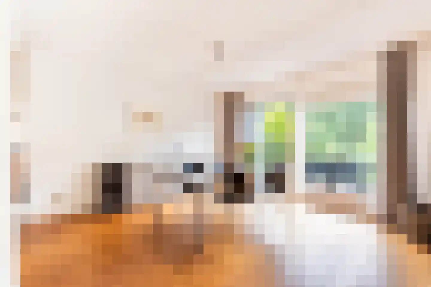 David Spanjarstraat 40 Zwolle thumbnail 8