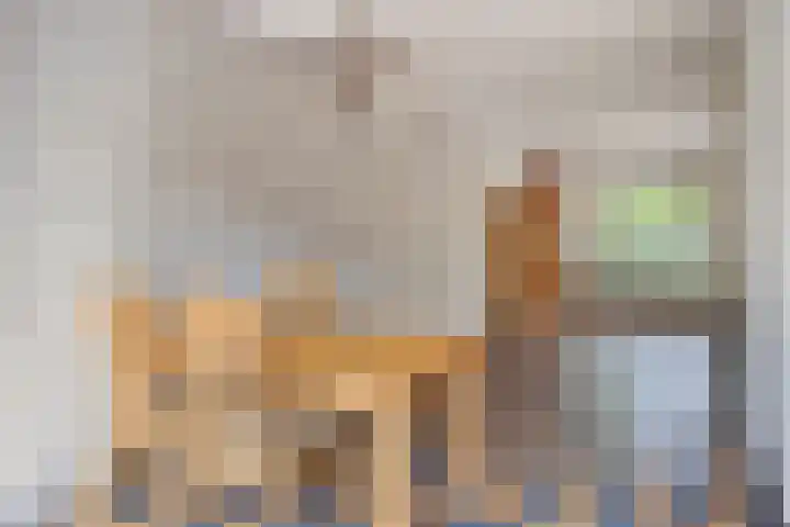 David 't Kindtstraat 8 Breda thumbnail 13
