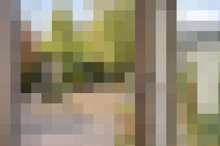 David 't Kindtstraat 8 Breda thumbnail 17