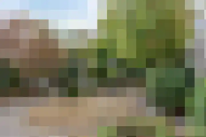 David 't Kindtstraat 8 Breda thumbnail 30
