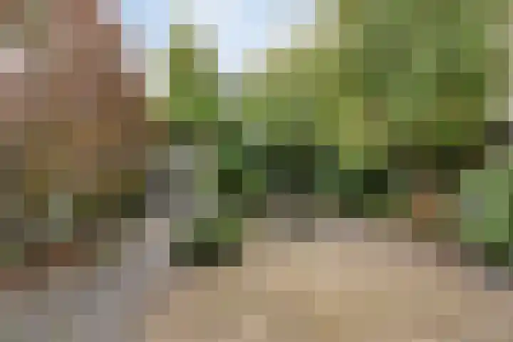 David 't Kindtstraat 8 Breda thumbnail 31