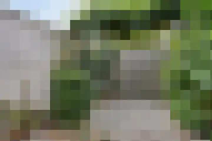 David 't Kindtstraat 8 Breda thumbnail 32