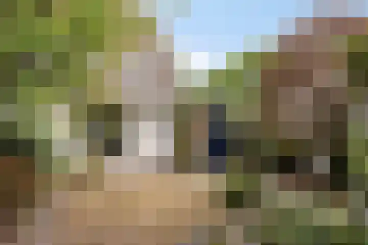 David 't Kindtstraat 8 Breda thumbnail 36
