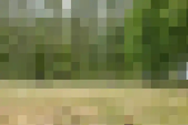 David 't Kindtstraat 8 Breda thumbnail 37