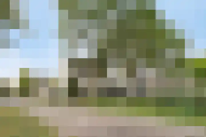 David 't Kindtstraat 8 Breda thumbnail 38