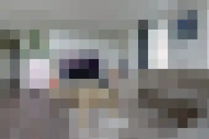 David Tenierslaan 112 Veenendaal thumbnail 14