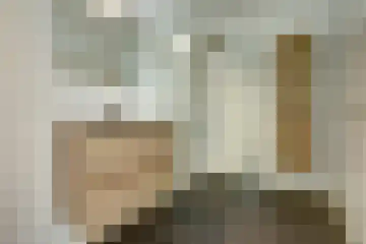 David Tenierslaan 112 Veenendaal thumbnail 32