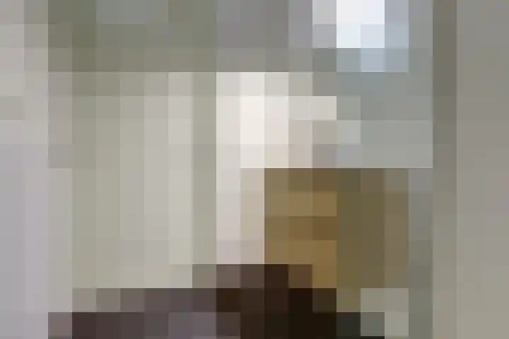 David Tenierslaan 112 Veenendaal thumbnail 33