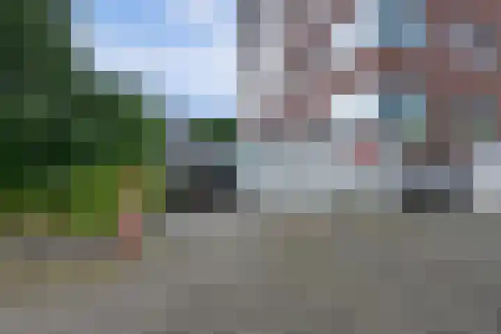 David Tenierslaan 112 Veenendaal thumbnail 38