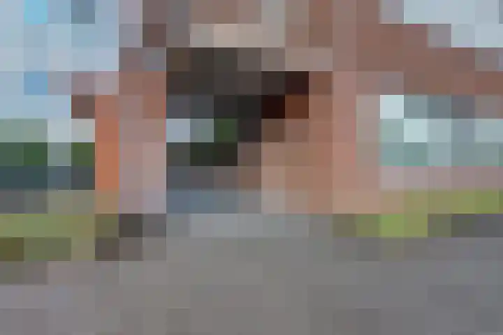 David Tenierslaan 112 Veenendaal thumbnail 41
