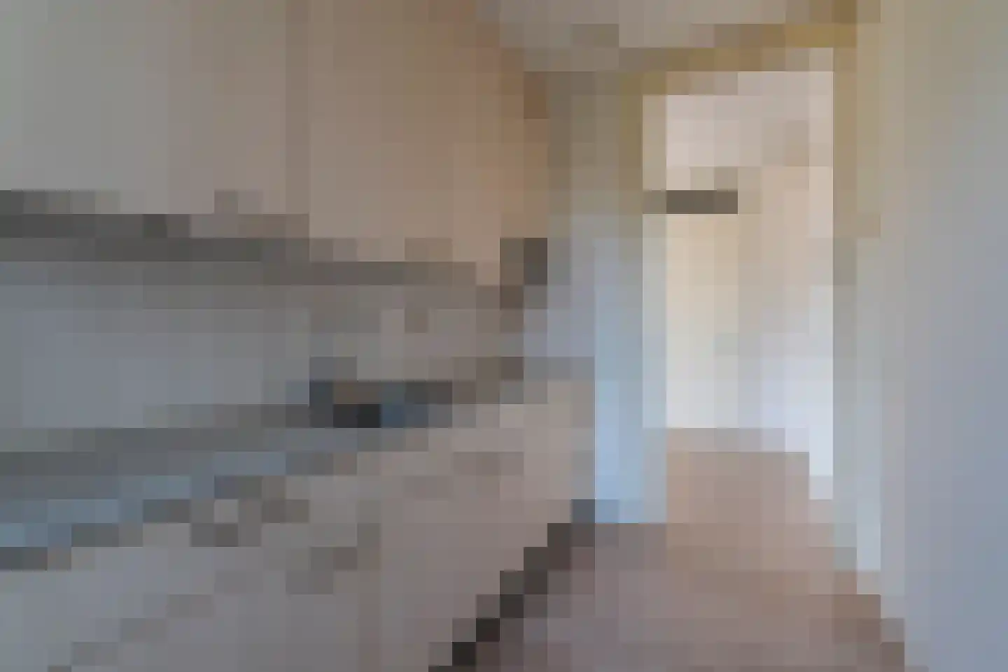 David Tenierslaan 16 Veenendaal thumbnail 13