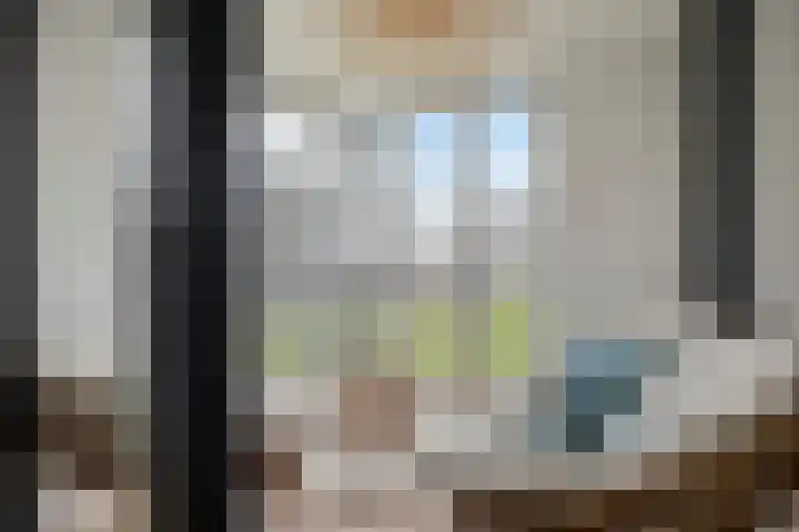 David Tenierslaan 20 Veenendaal thumbnail 11