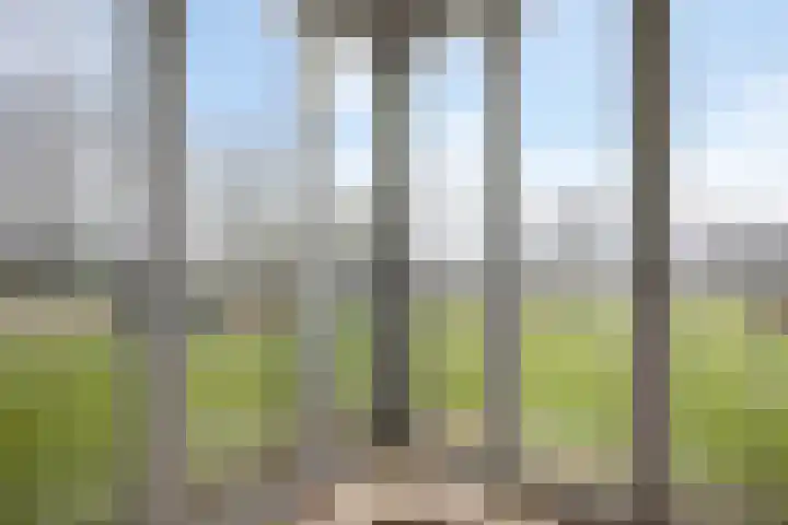 David Tenierslaan 20 Veenendaal thumbnail 12