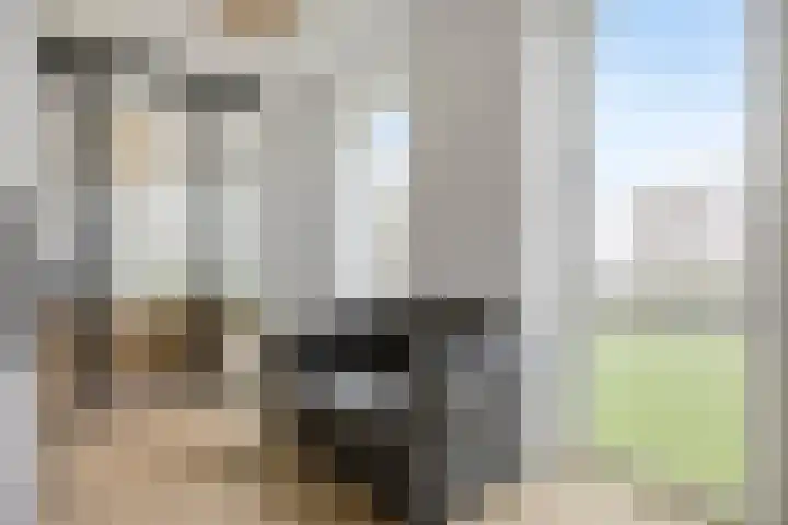 David Tenierslaan 20 Veenendaal thumbnail 13