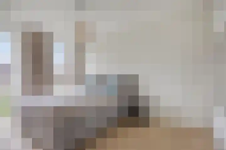 David Tenierslaan 20 Veenendaal thumbnail 15
