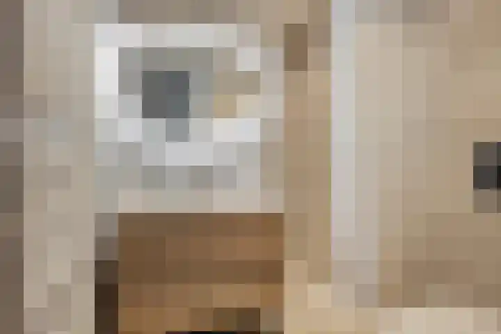 David Tenierslaan 20 Veenendaal thumbnail 17