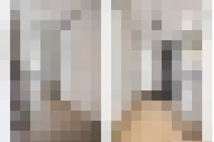 David Tenierslaan 20 Veenendaal thumbnail 20