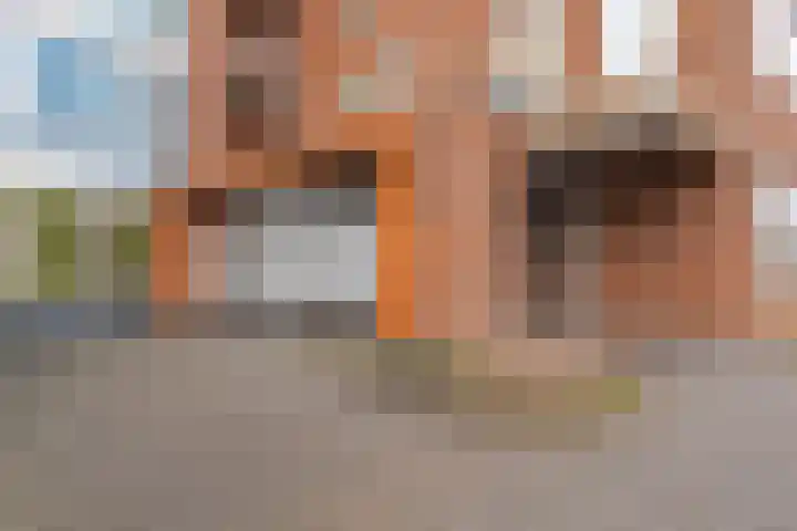 David Tenierslaan 20 Veenendaal thumbnail 27