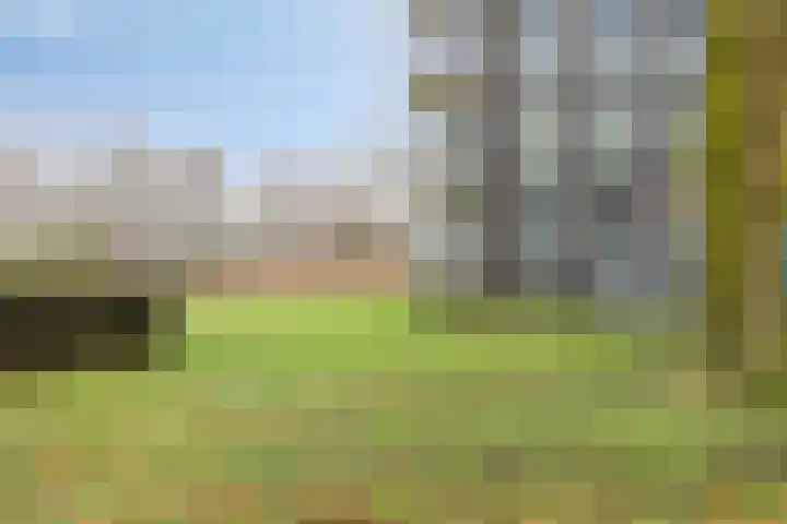 David Tenierslaan 20 Veenendaal thumbnail 29