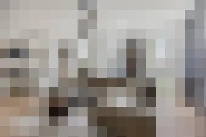 David Tenierslaan 20 Veenendaal thumbnail 5