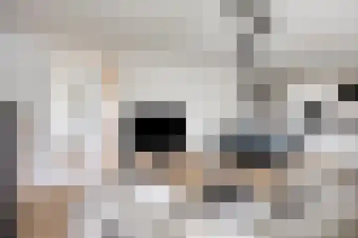 David Tenierslaan 20 Veenendaal thumbnail 6
