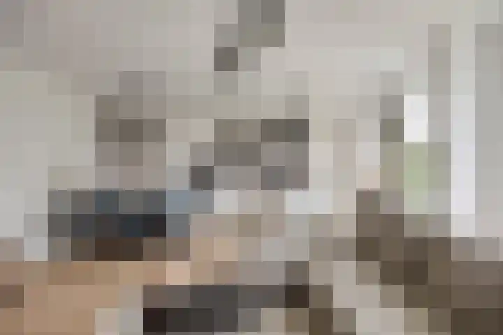 David Tenierslaan 20 Veenendaal thumbnail 7
