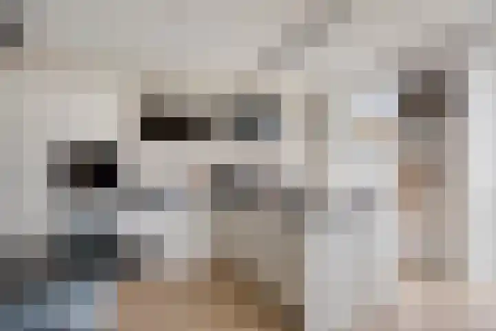David Tenierslaan 20 Veenendaal thumbnail 8
