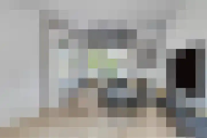 David Teniersplein 2 Roosendaal thumbnail 10