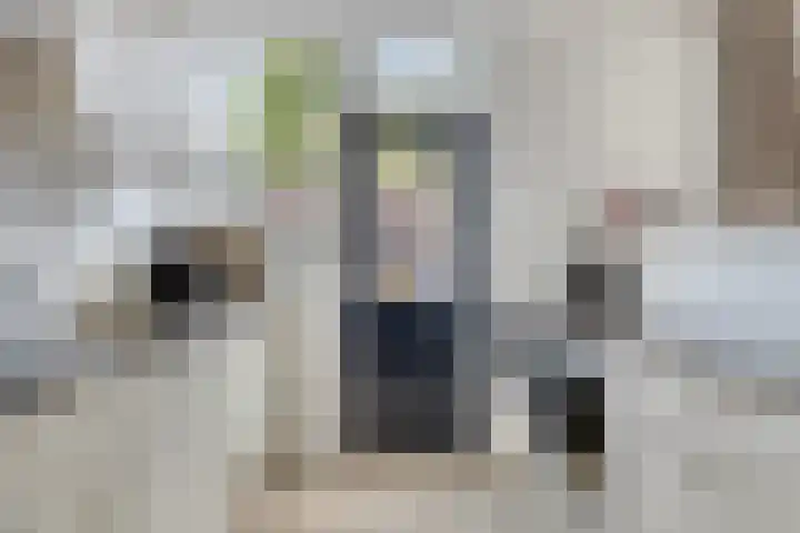 David Teniersplein 2 Roosendaal thumbnail 15