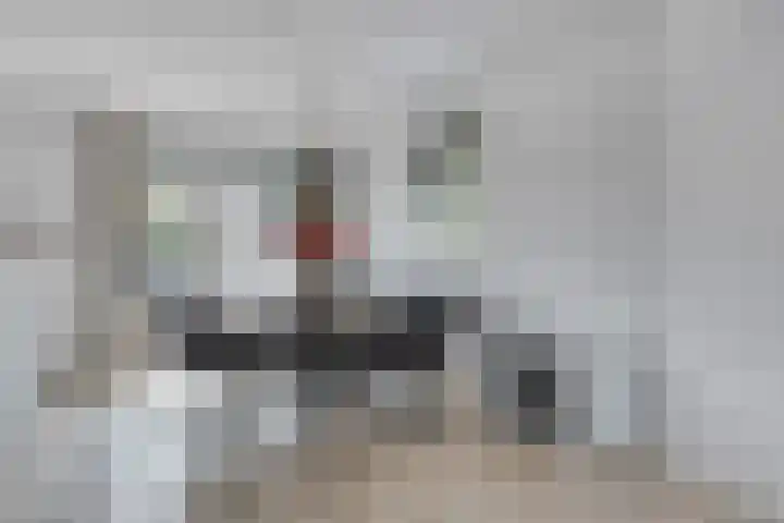 David Teniersplein 2 Roosendaal thumbnail 17