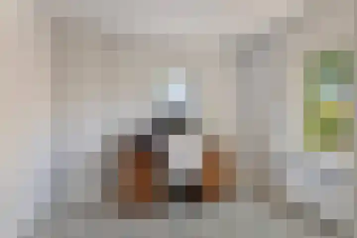 David Teniersplein 2 Roosendaal thumbnail 26