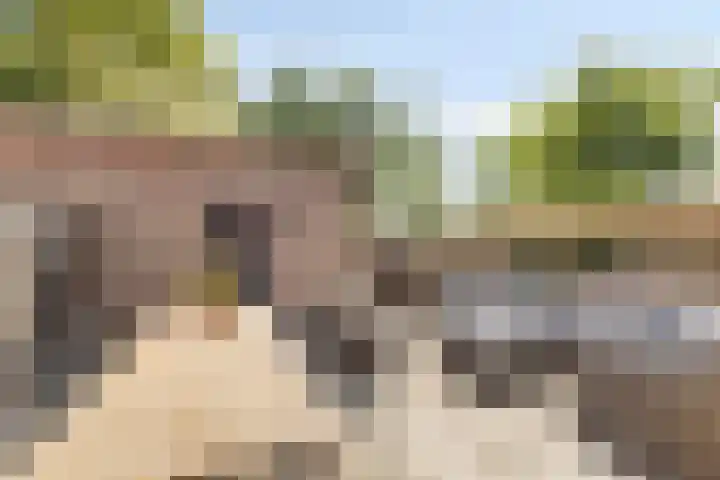 David Teniersplein 2 Roosendaal thumbnail 32