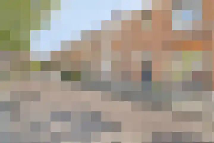 David Teniersplein 2 Roosendaal thumbnail 5