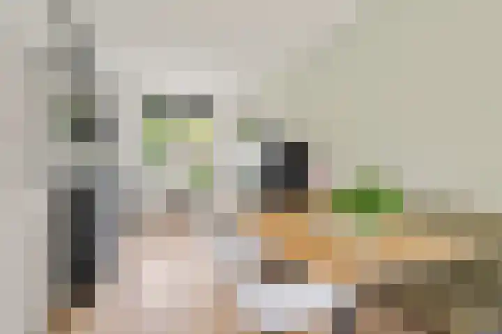David van Bourgondiëweg 37 Wijk bij Duurstede thumbnail 10