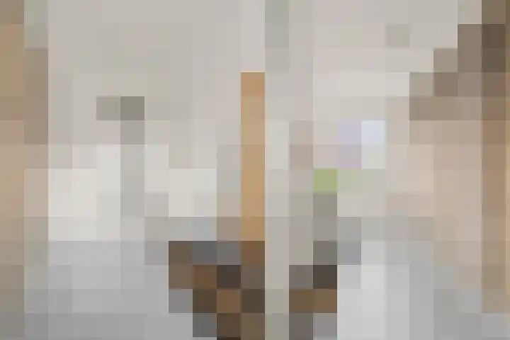 David van Bourgondiëweg 37 Wijk bij Duurstede thumbnail 21