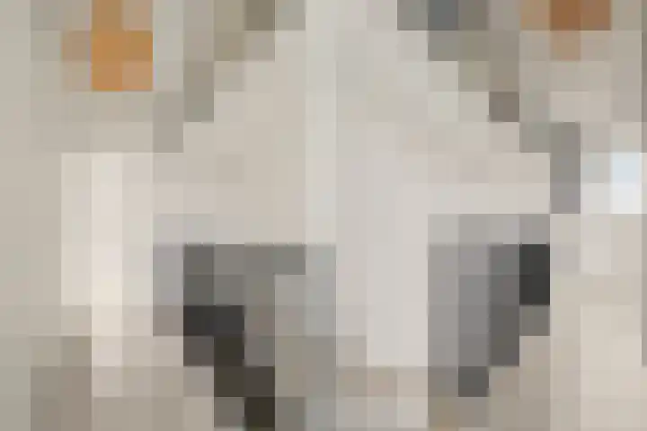 David van Bourgondiëweg 37 Wijk bij Duurstede thumbnail 34