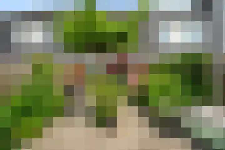 David van Bourgondiëweg 37 Wijk bij Duurstede thumbnail 36