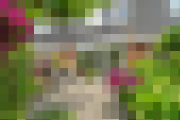 David van Bourgondiëweg 37 Wijk bij Duurstede thumbnail 37